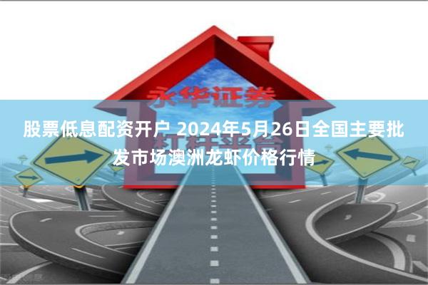 股票低息配资开户 2024年5月26日全国主要批发市场澳洲龙虾价格行情